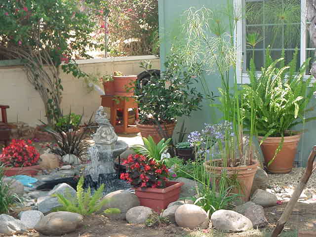 Picture100.jpg